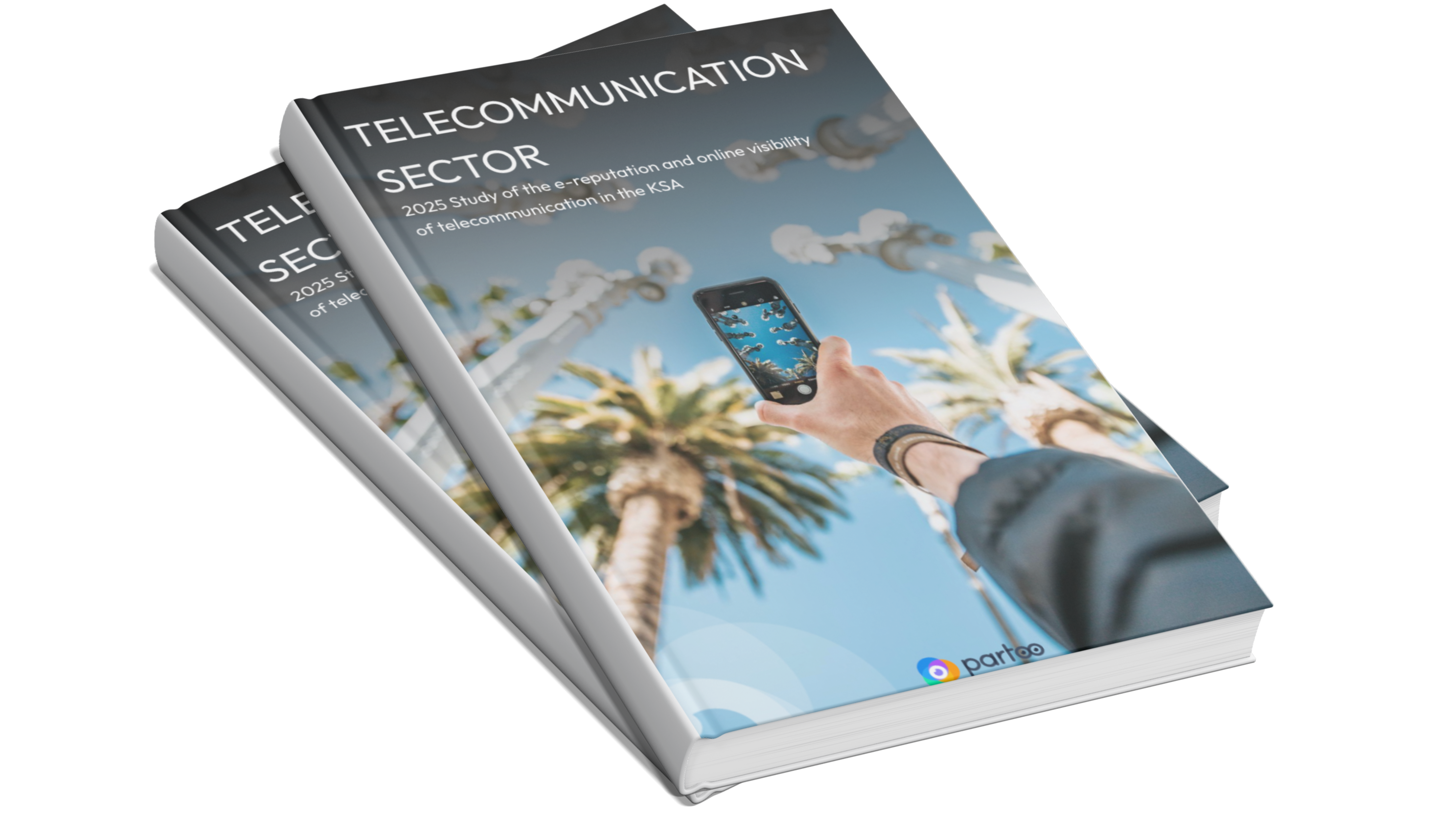Copy of Focus secteur Wordpress (2)
