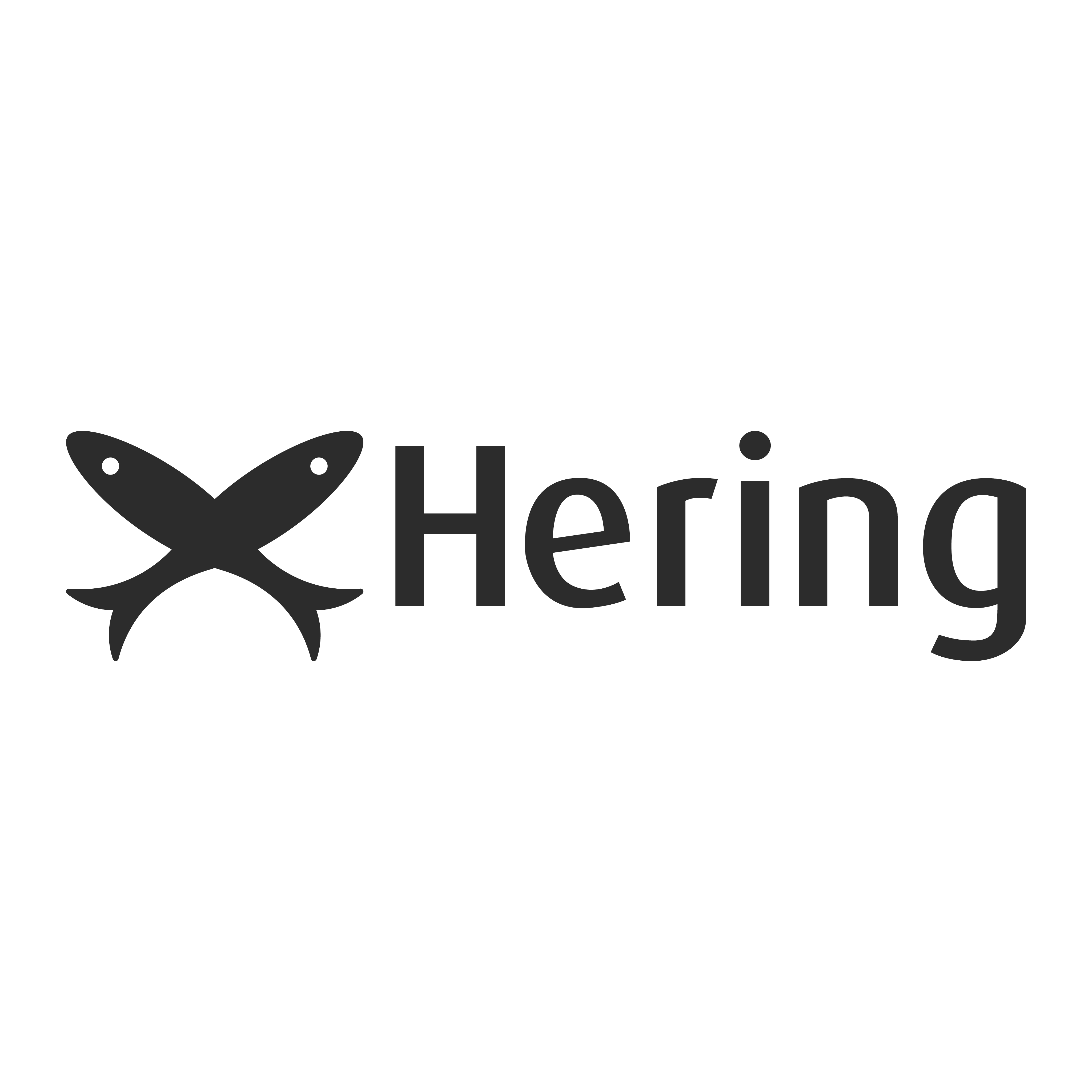 logo-hering-4096