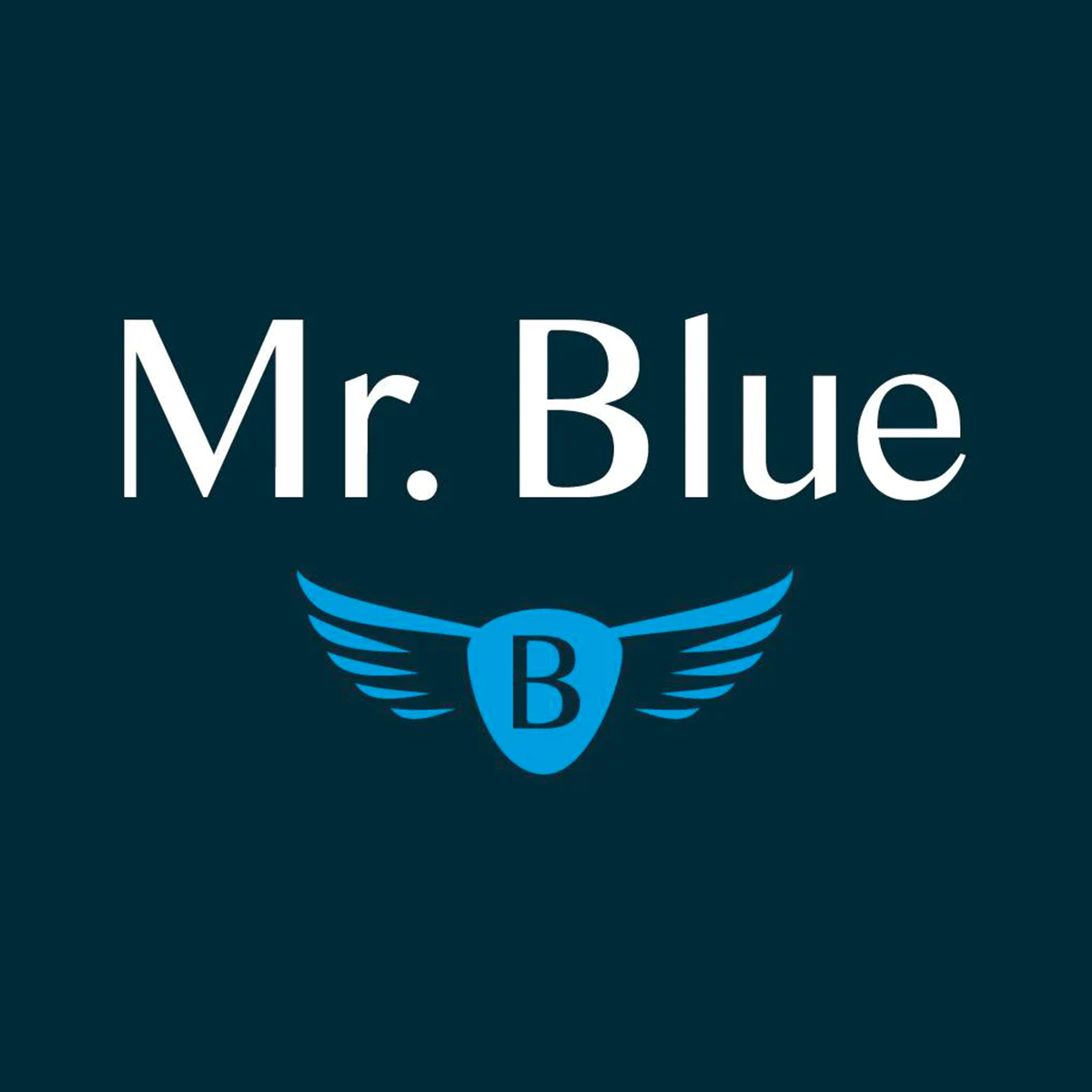 mrblue-logo